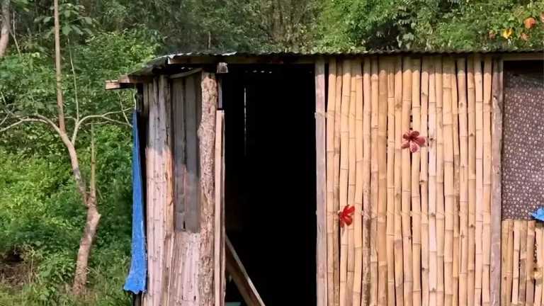 En Tabasco, alumnos de secundaria toman clases en un salón hecho de varas de bambú y lámina, soportan el calor extremo y la lluvia que se filtra para buscar sueños y no regresar al campo