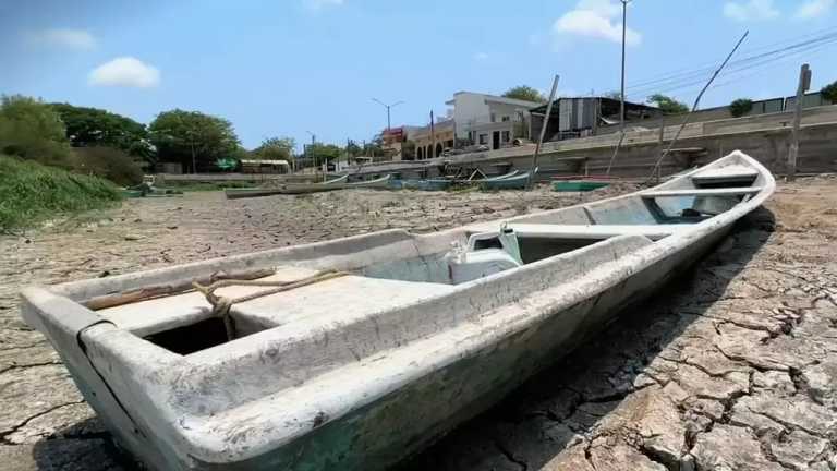 Miles de personas batallan todos los días para conseguirla agua en zonas de Tampico, Tamaulipas, además las lagunas se están secando