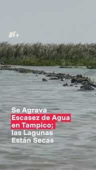 Se Agrava Escasez de Agua en Tampico; Las Lagunas Están Secas