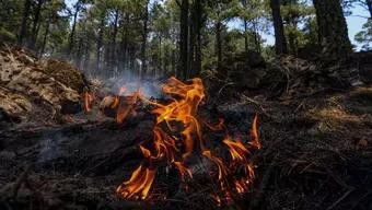 Foto: Continúa la Emergencia por Incendios Forestales en México