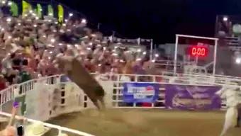 Foto: Toro de Rodeo Salta Valla y Deja 3 Heridos en Oregon